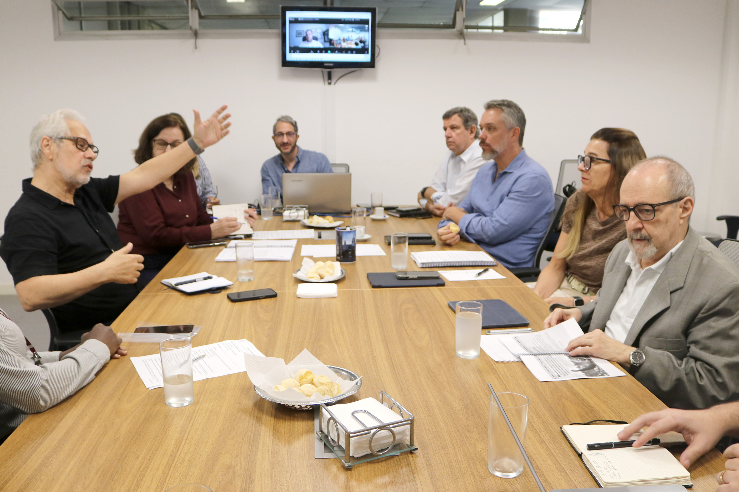Marcos Buckeridge, Roseli de Deus Lopes, Rafael Borsanelli, Luís Reynaldo Ferracciú Alleoni, David Sperling, Elisabete Moreira Assaf e Sergio Adorno