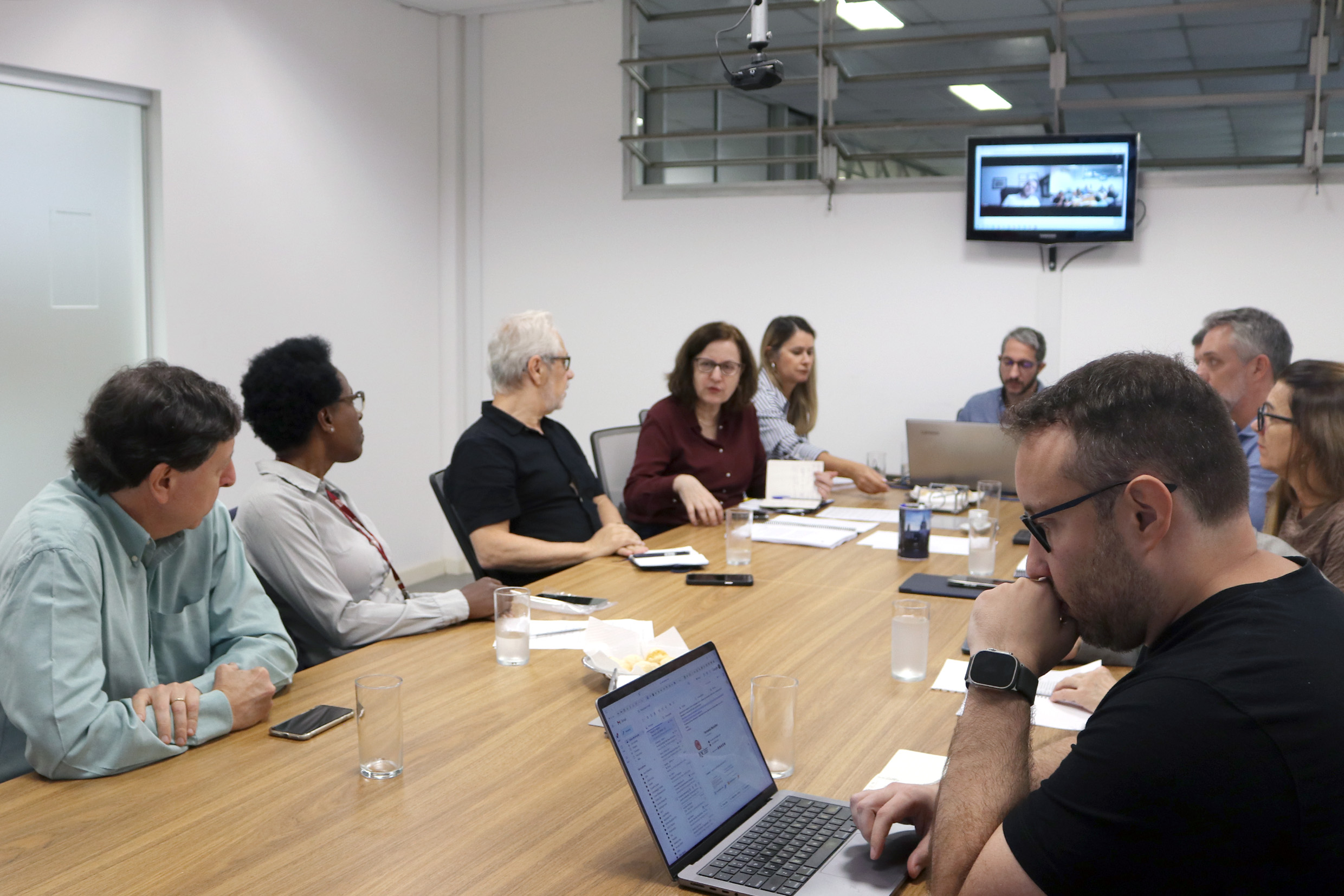 José Eduardo Krieger, Sandra Regina Ramos Braz, Marcos Buckeridge, Roseli de Deus Lopes, Fátima Moreno, Rafael Borsanelli, David Sperling, Elisabete Moreira Assaf e Paulo Almeida