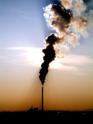 Sustentabilidade - 1