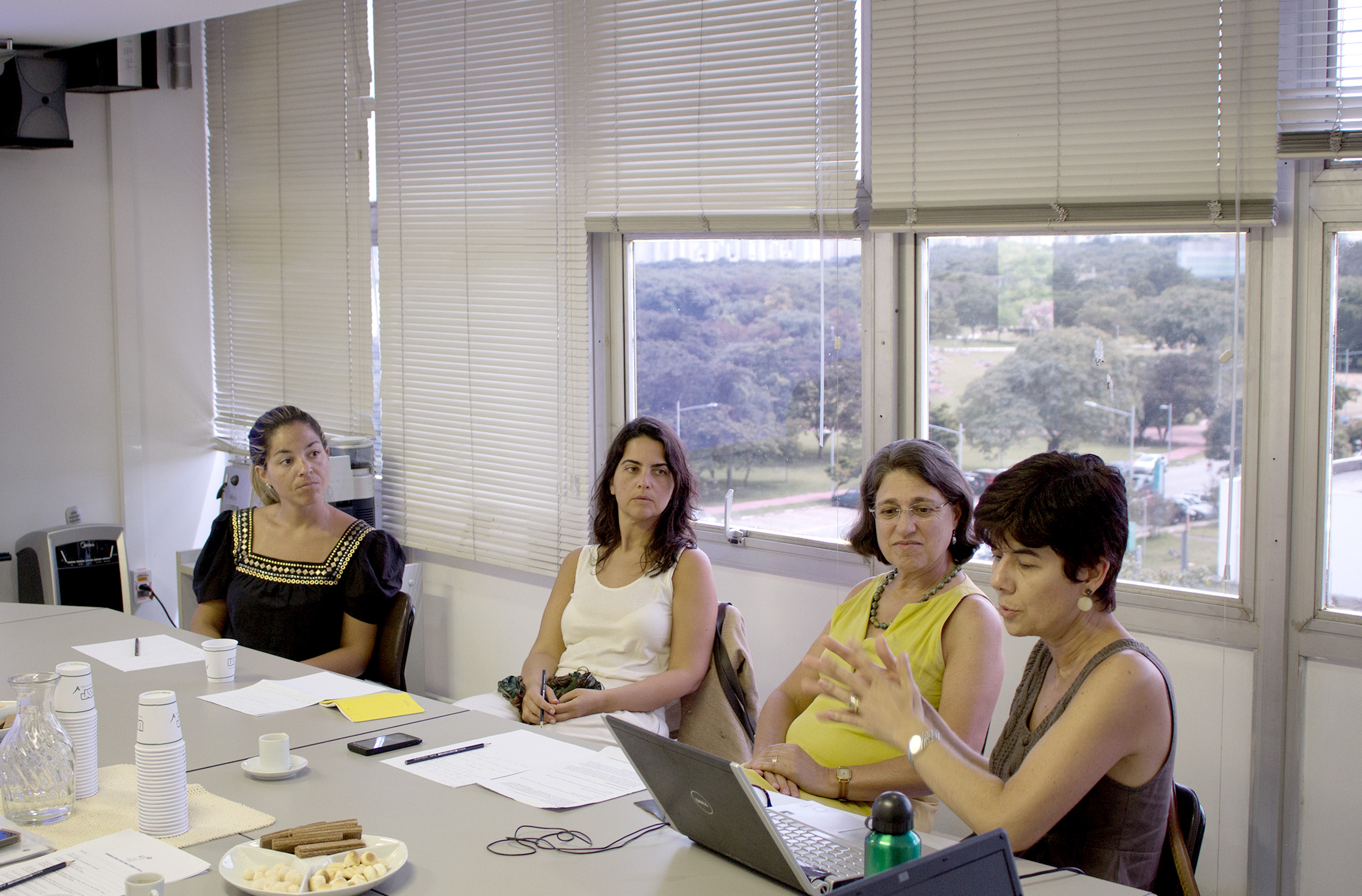 Andréa Filgueiras, Denise Chaer, Ana Lydia Sawaya e Semiramís Martins Álvares Domene