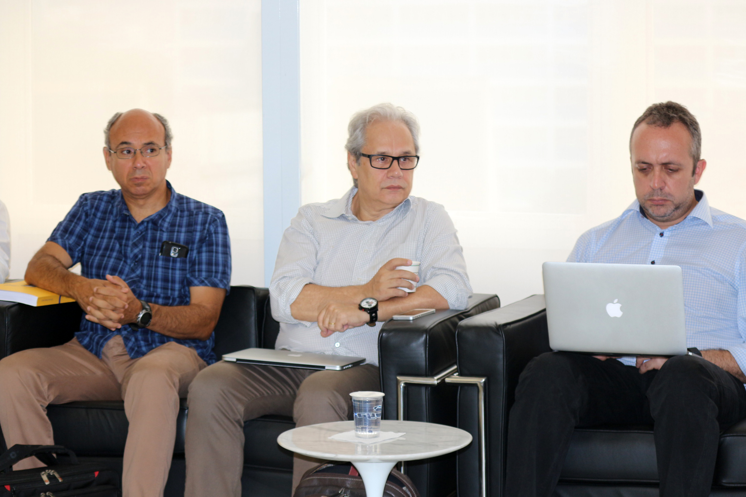 Wagner Costa Ribeiro, Marcos Buckeridge e Hamilton Varela