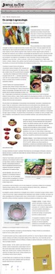 Revista Estudos Avançados nº 83 - Arqueologia brasileira