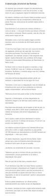 A grande mentira verde como a destruição da Amazônia vai além do desmatamento - Pag-3