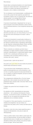 A grande mentira verde como a destruição da Amazônia vai além do desmatamento - Pag-5
