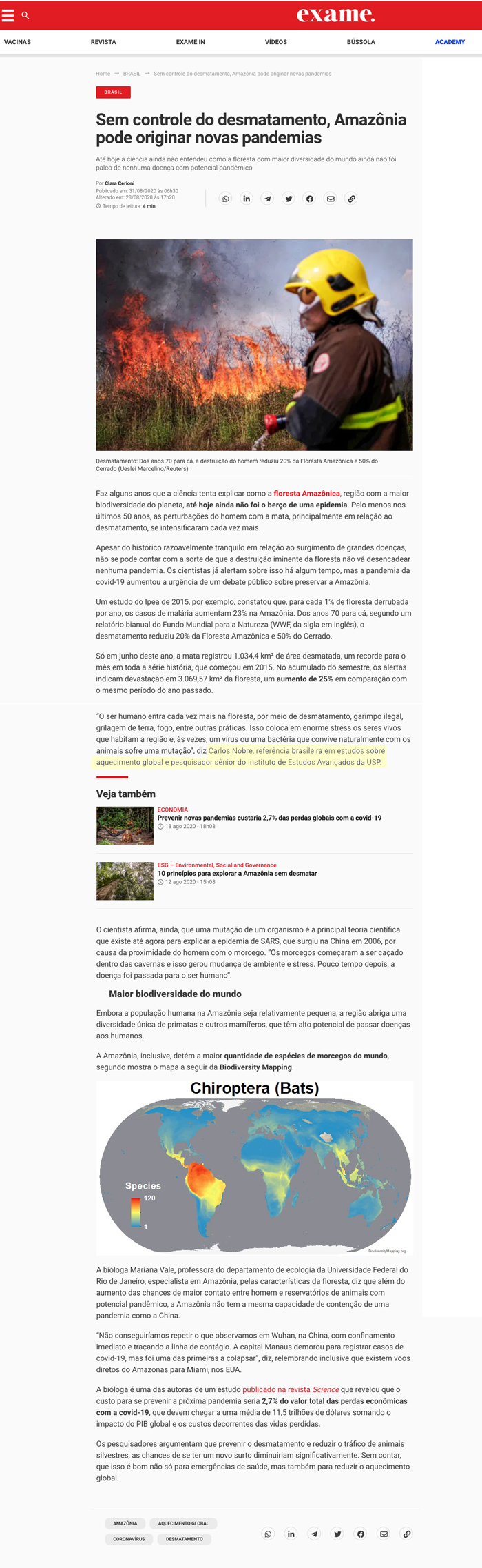 Desmatamento Amazônia pode originar novas Pandemias
