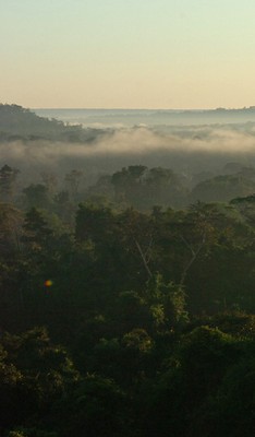 Amazonas. Foto: Cecilia Bastos/Jornal da USP